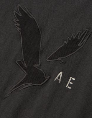 AE Super Soft Long Sleeve Graphic T-Shirt