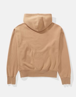 AE Logo Graphic Hoodie