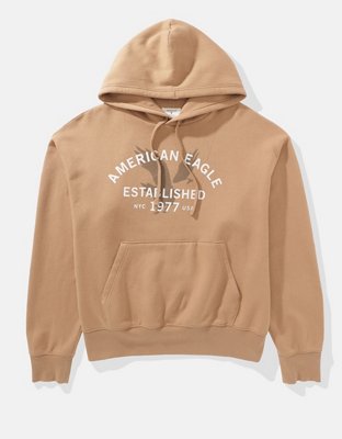 AE Logo Graphic Hoodie