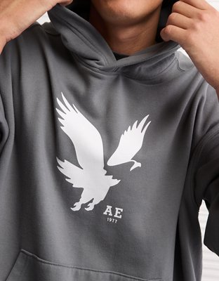 AE Lightweight Graphic Hoodie