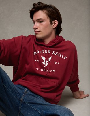 AE Lightweight Graphic Hoodie