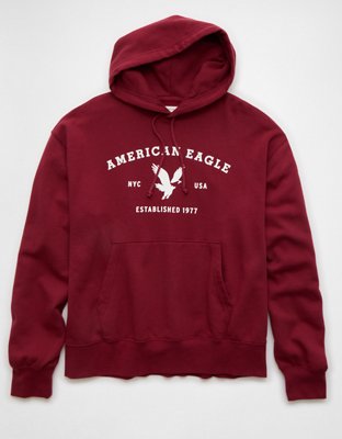 AE Lightweight Graphic Hoodie