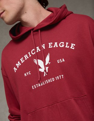AE Lightweight Graphic Hoodie