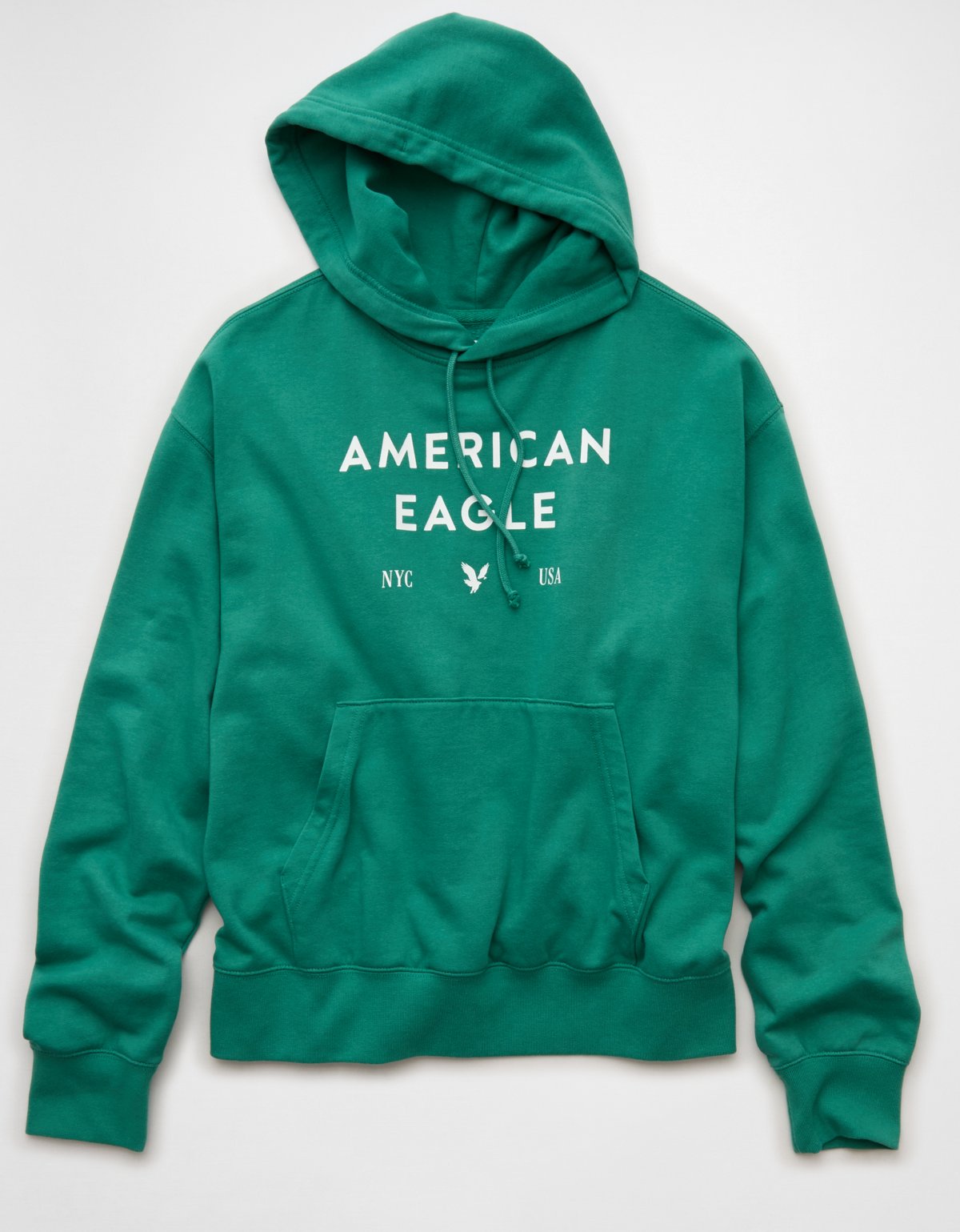 AE Lightweight Logo Fleece Hoodie - image 3