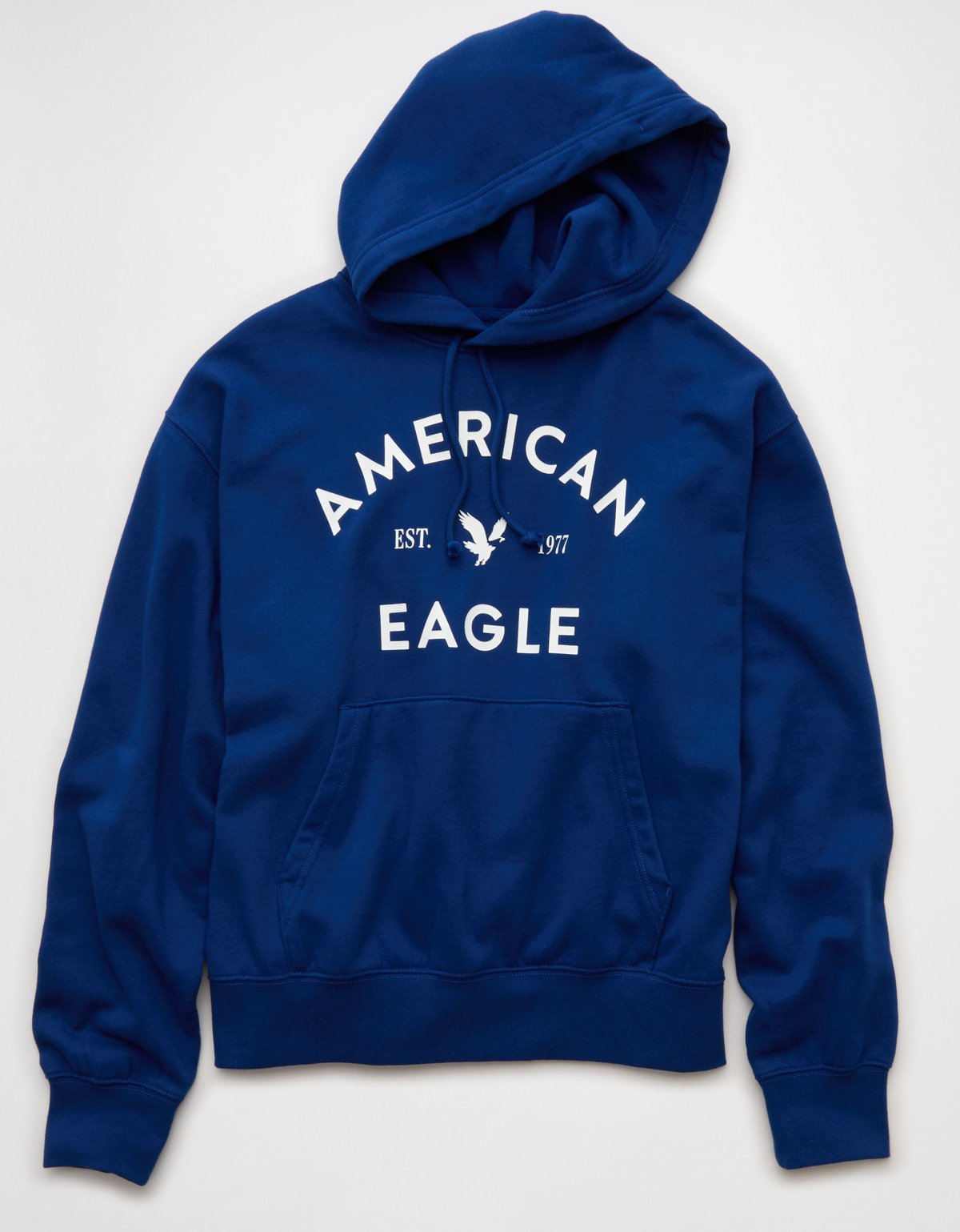 AE Lightweight Logo Fleece Hoodie - image 3