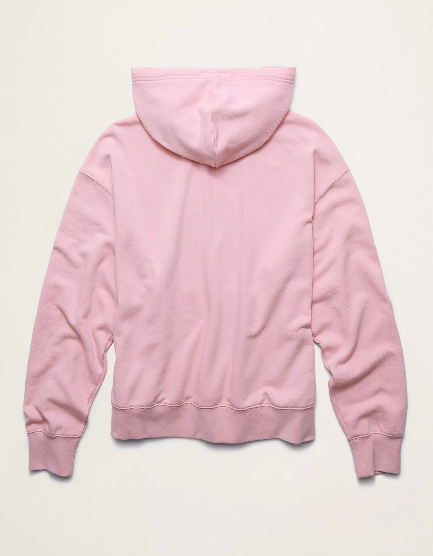 AE Lightweight Logo Fleece Hoodie - thumbnail 4
