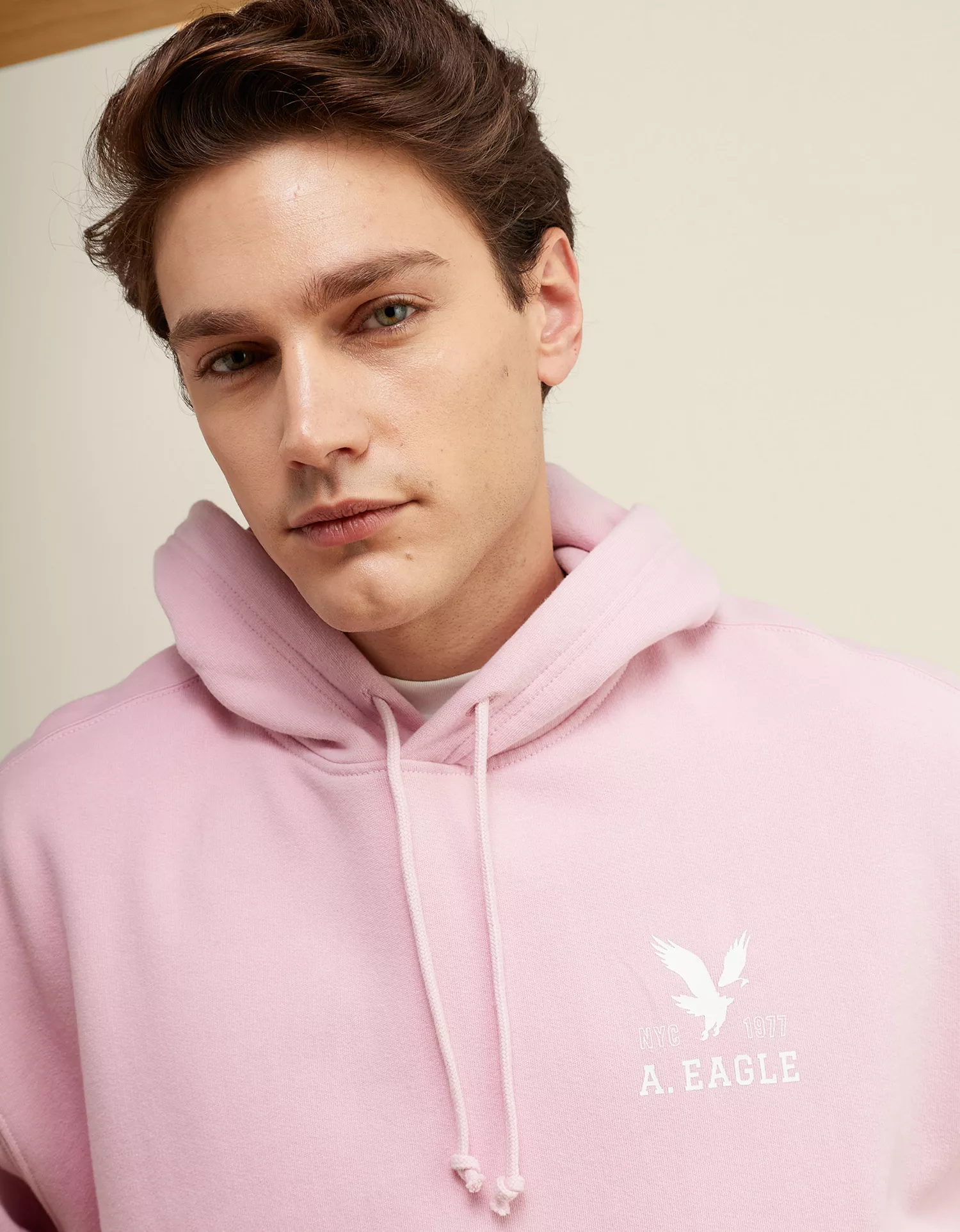 AE Lightweight Logo Fleece Hoodie - thumbnail 6