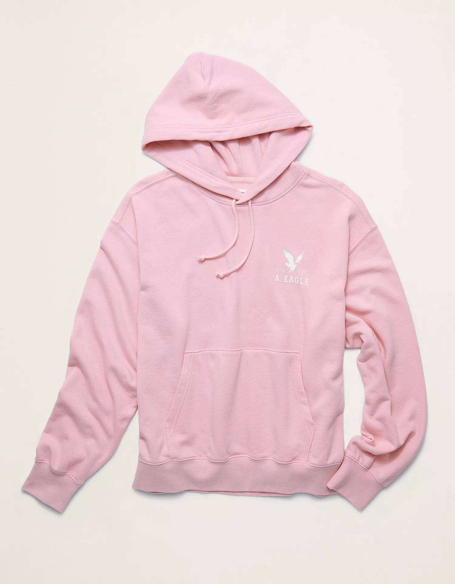 AE Lightweight Logo Fleece Hoodie - thumbnail 3