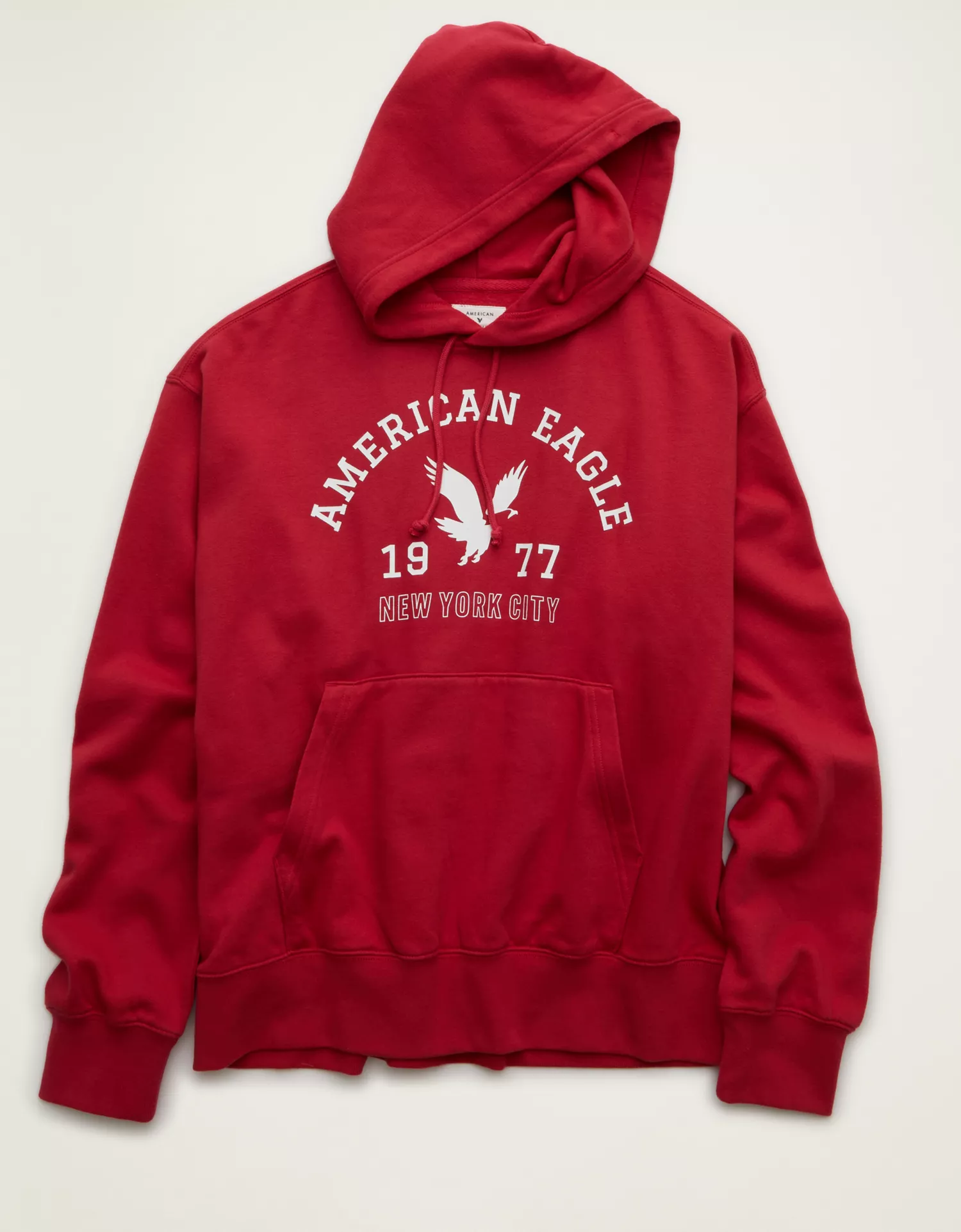 AE Lightweight Logo Fleece Hoodie - thumbnail 10
