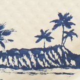 AE Men's First Wave Flip Flop