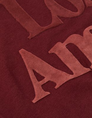 AE Los Angeles Velvet Graphic T-Shirt