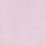Pastel Orchid