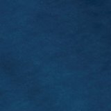 Dark Indigo