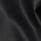 Onyx Black
