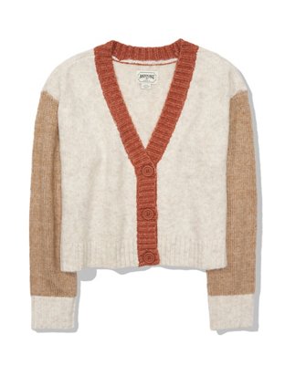 AE Colorblock Cardigan