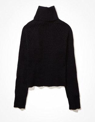 AE Fitted Turtleneck Sweater