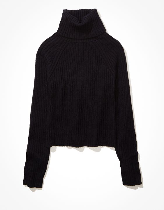 AE Fitted Turtleneck Sweater