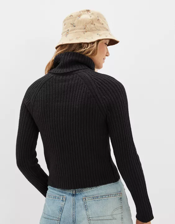 AE Fitted Turtleneck Sweater