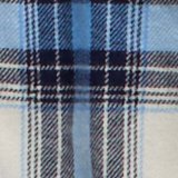 AE Plaid Button-Up Shirt