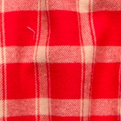 AE Plaid Button-Up Shirt