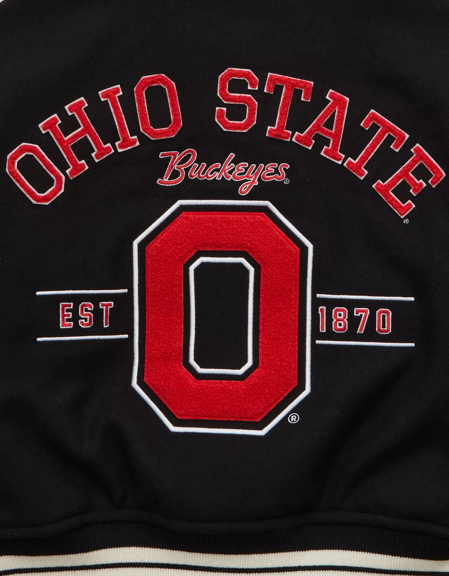 AE Ohio State Buckeyes Bomber Jacket - thumbnail 4