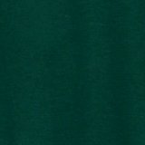 Camper Green