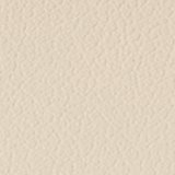 Bone Khaki