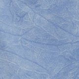 Marbled Blue