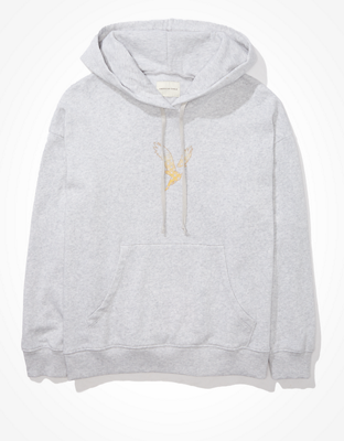 AE Fleece Graphic Hoodie