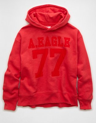 AE Everyday Luxe Graphic Hoodie | American Eagle