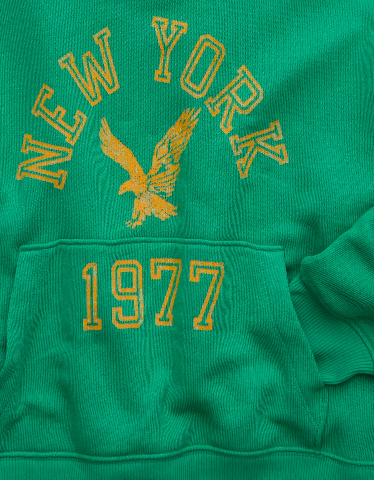 AE Campus Hoodie - thumbnail 5