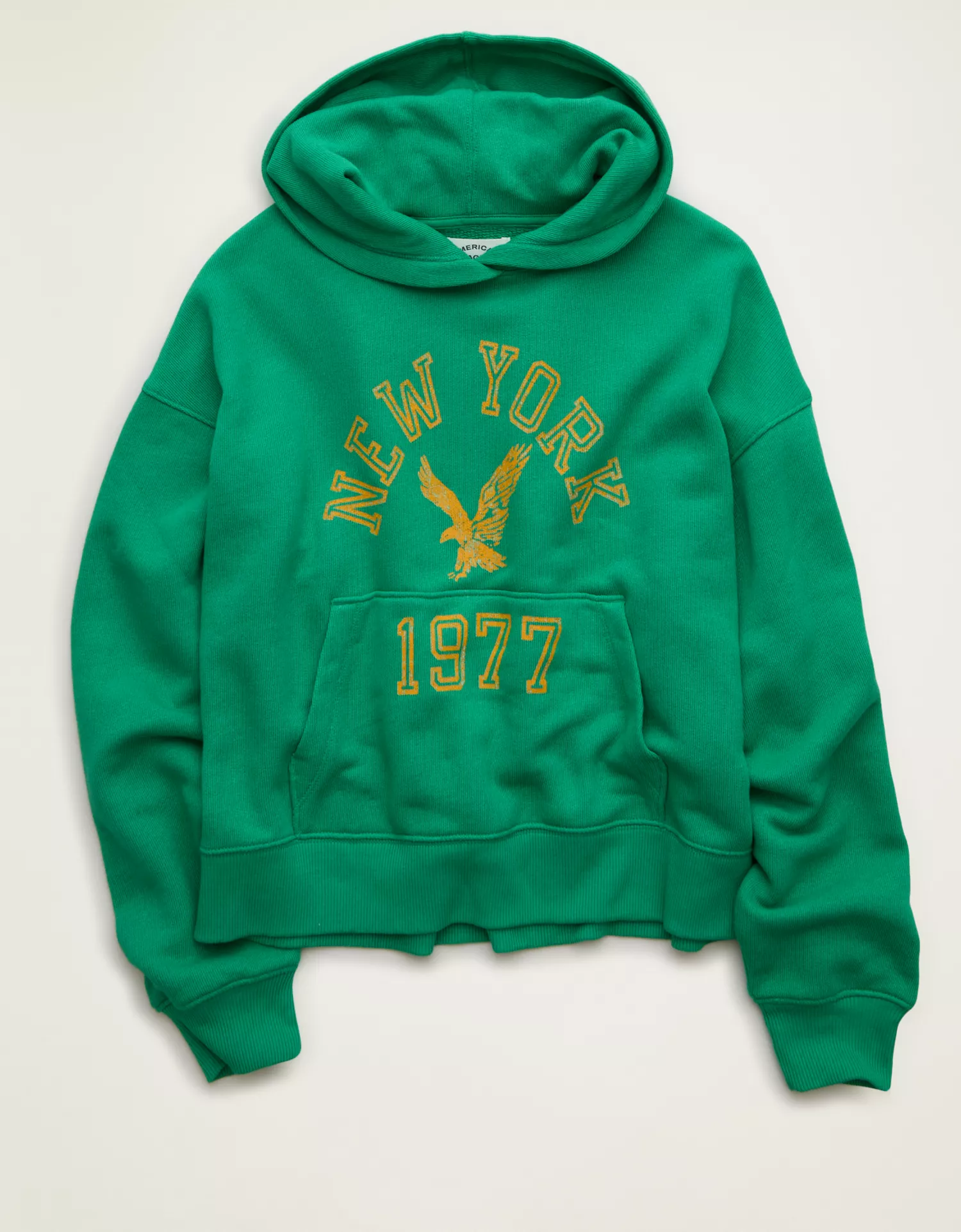 AE Campus Hoodie - thumbnail 3