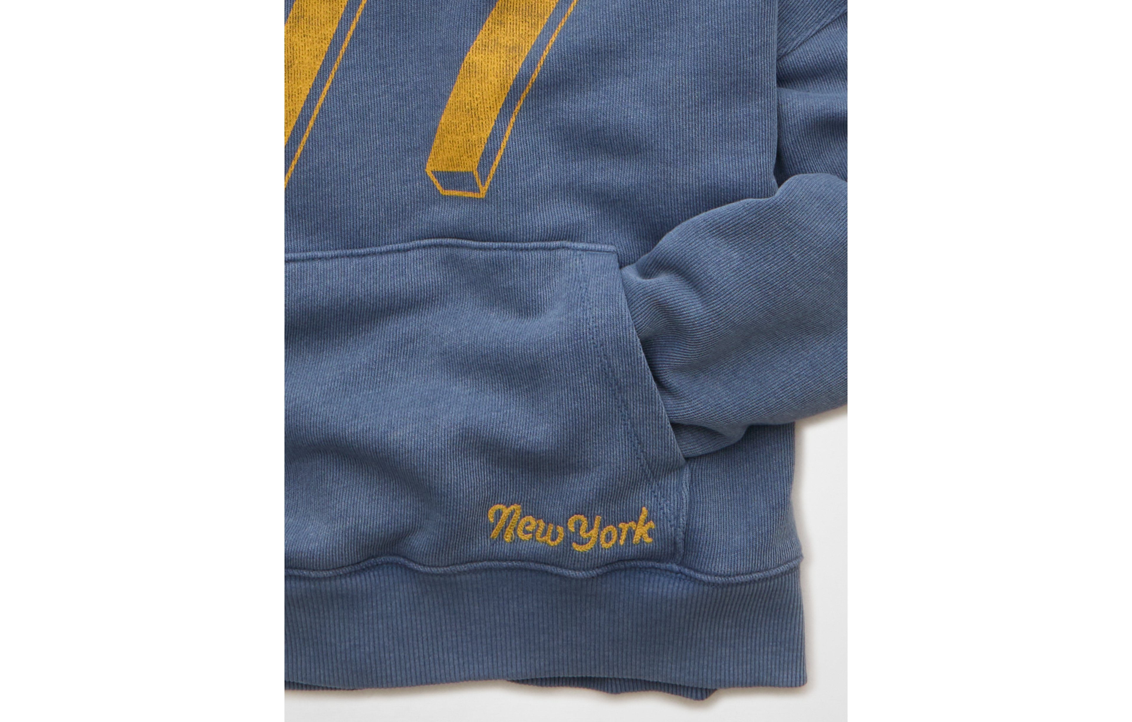 AE Campus Hoodie