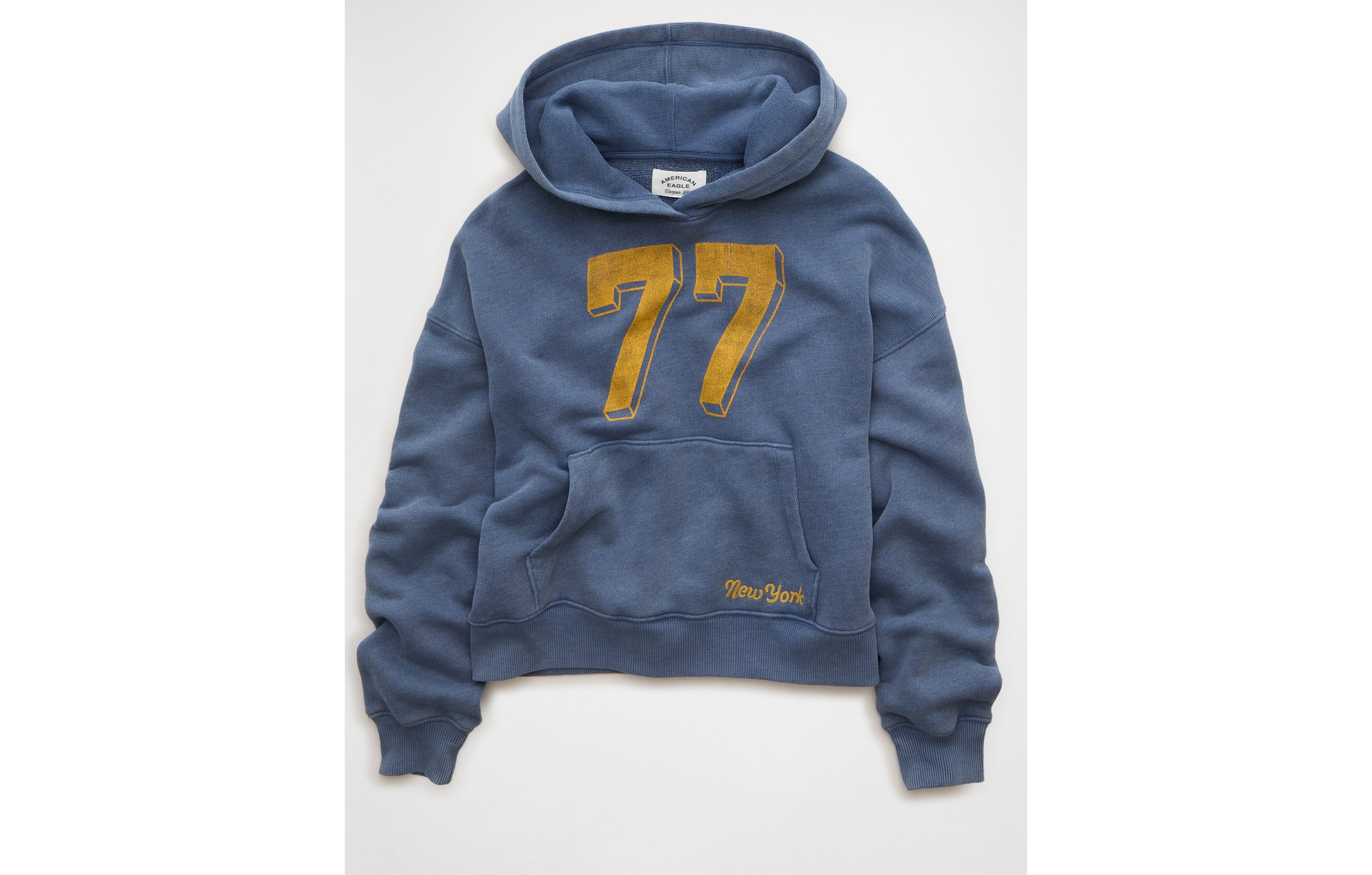 AE Campus Hoodie
