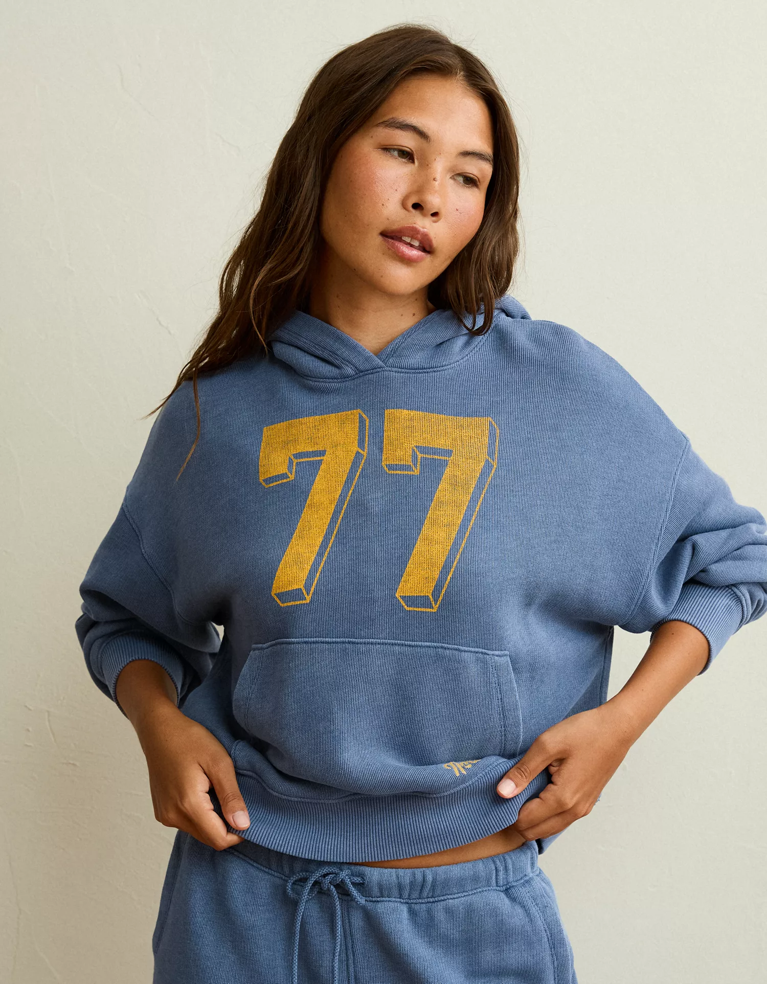 AE Campus Hoodie - thumbnail 8