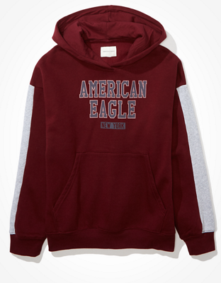 AE Fleece Graphic Hoodie