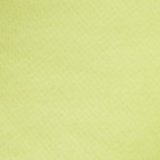 Lime Fizz