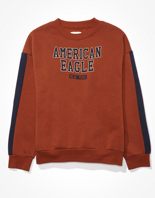 AE Fleece Graphic Crew Neck Sweatshirt