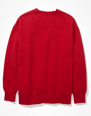 Женские худи American Eagle AE Super Soft Ski Team Graphic Sweatshirt — фото 4