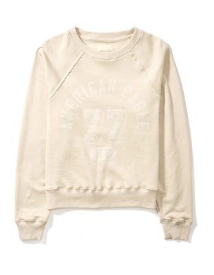 AE Velvet Graphic Crew Neck Sweatshirt