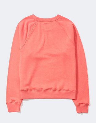 AE Velvet Graphic Crew Neck Sweatshirt