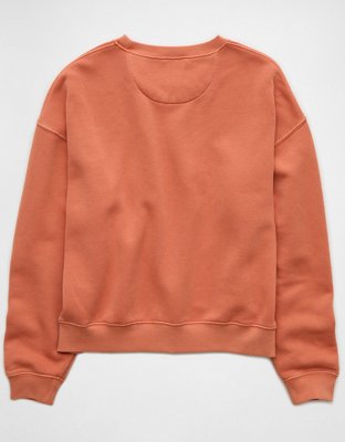 AE Relaxed Crew Neck Sweatshirt