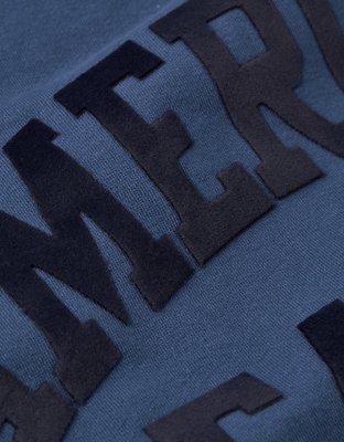 AE Velvet Graphic Crew Neck Sweatshirt