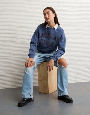 AE Velvet Graphic Crew Neck Sweatshirt