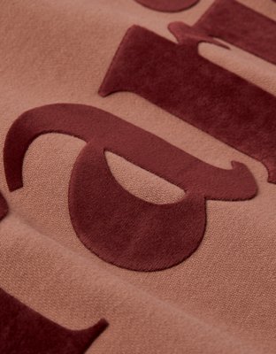 AE Velvet Graphic Crew Neck Sweatshirt