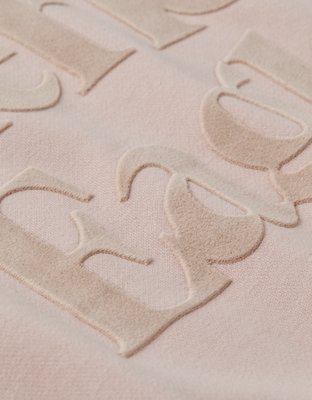 AE Velvet Graphic Crew Neck Sweatshirt