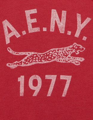 AE Campus Short-Sleeve Sweatshirt