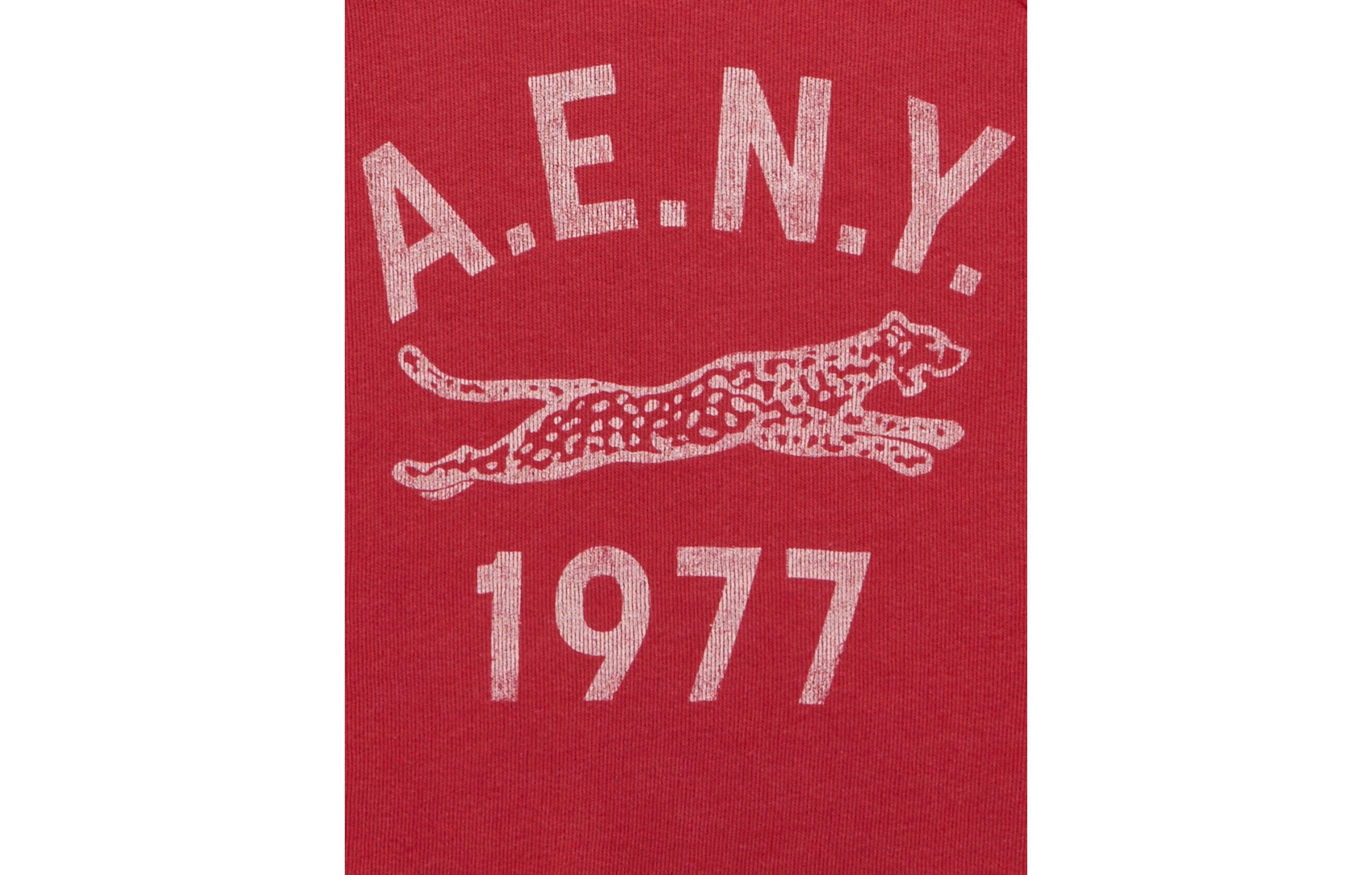 AE Campus Short-Sleeve Sweatshirt