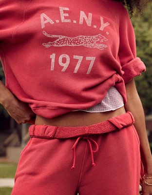AE Campus Short-Sleeve Sweatshirt | American Eagle