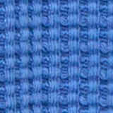 Blooming Bright Blue